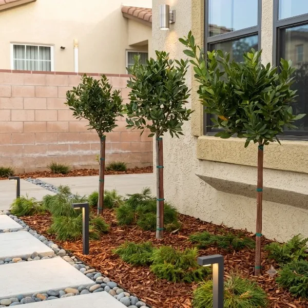 landscaping company monrovia ca