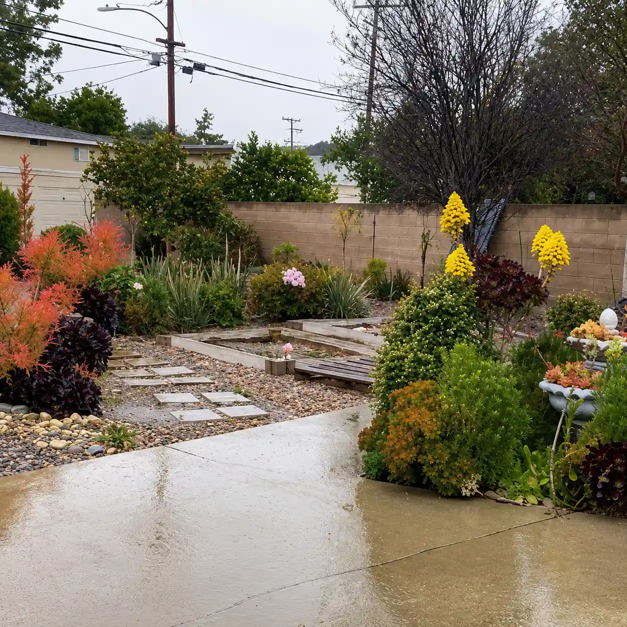 residential landscaping company Hollywood (1)